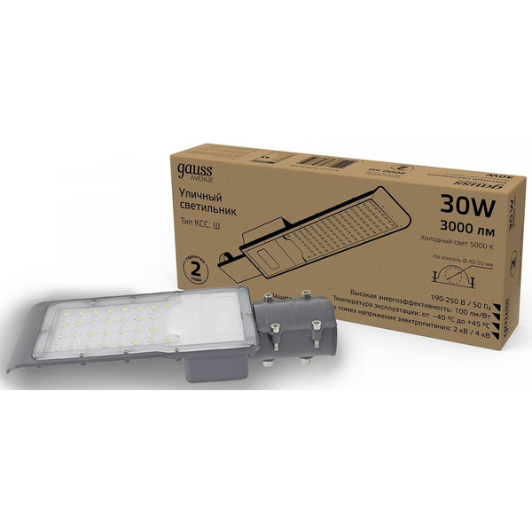 Светильник консольный Gauss 629534330