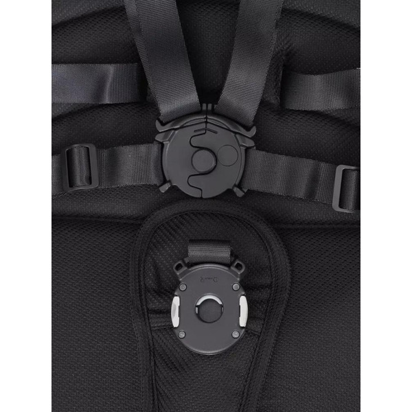 Детская универсальная коляска Rant Falcon 2 в 1 / RA097 (черный)