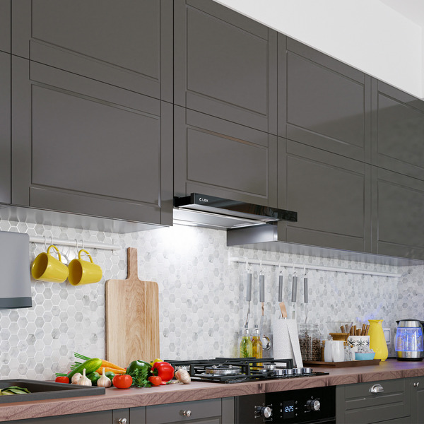 Воздухоочиститель LEX Hide 600 Black