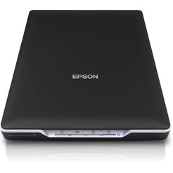 Сканер EPSON Perfection V19 (B11B231401/B11B231503)