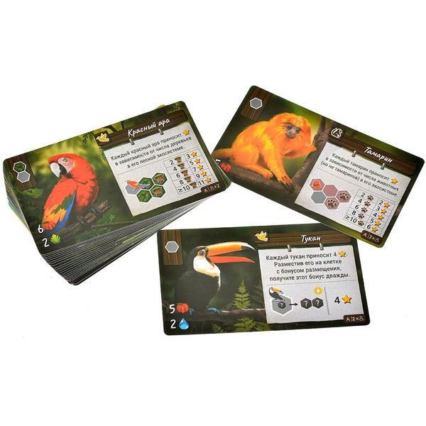 Настольная игра Hobby World Дикая природа Амазонии 915950