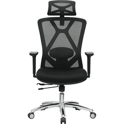 Кресло компьютерное Evolution EXO F1 (черный)