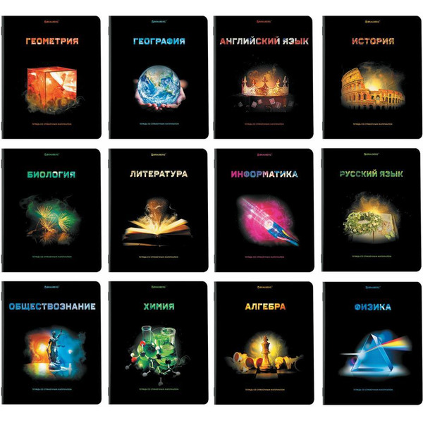 Тетради предметные BRAUBERG 404324 (КОМПЛЕКТ 12 ПРЕДМЕТОВ, 48л, глянцевый УФ-лак)