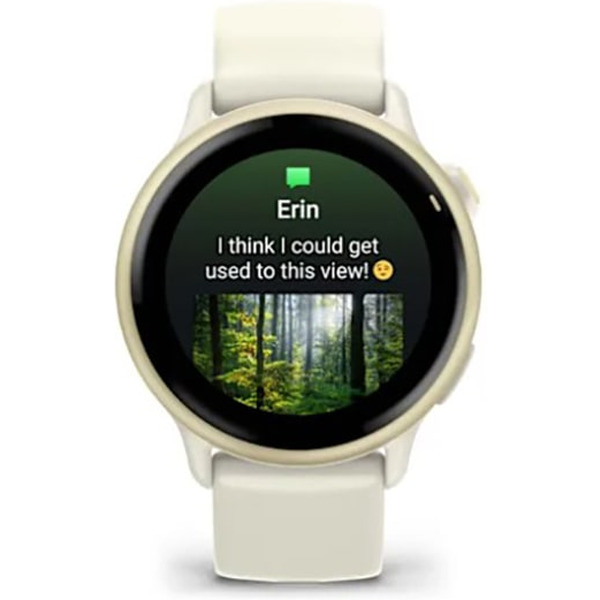 Умные часы Garmin Vivoactive 6 (лунное золото)