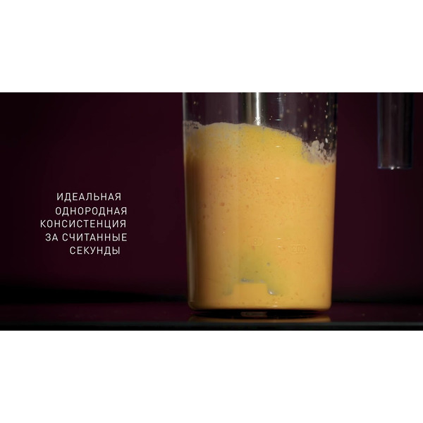 Блендер погружной RONDELL RDE-1302