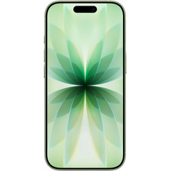 Смартфон Apple iPhone 17 256GB Sage (MG6N4KH/A)