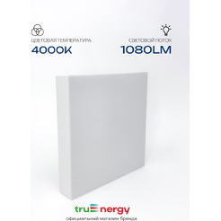 Светильник TruEnergy AURA 11167