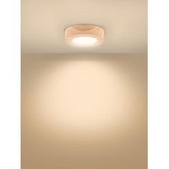 Светильник TDM "Даунлайт" СПО (сосна) 6 Вт 120*32 мм 3000К SQ0329-0411