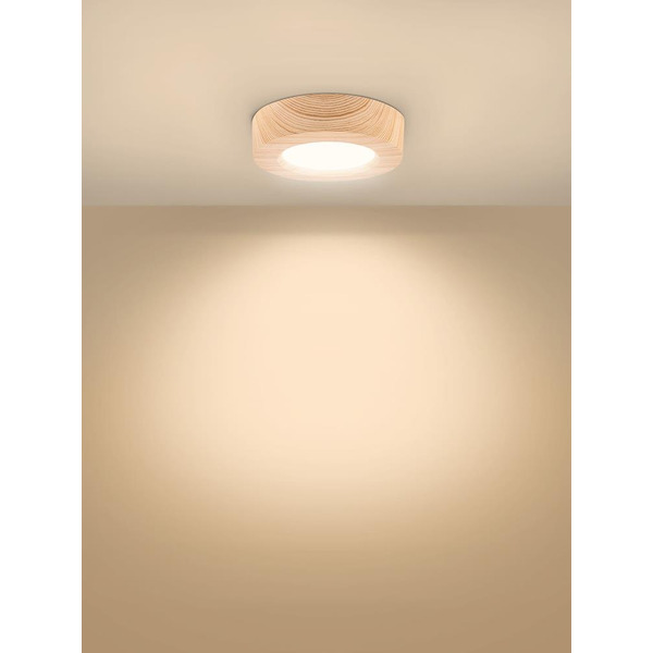 Светильник TDM "Даунлайт" СПО (сосна) 6 Вт 120*32 мм 3000К SQ0329-0411