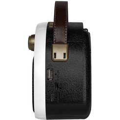 Радиоприемник Ritmix RPR-040 (белый)