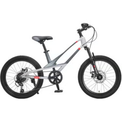Детский велосипед Montasen MB12B-20GR (серый)