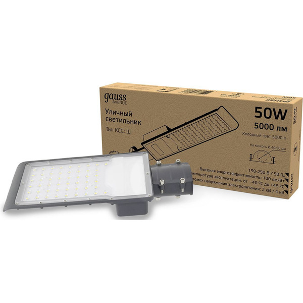 Светильник консольный Gauss 629534350