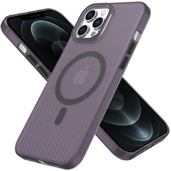 Задняя накладка CASE Translucent Strip Apple iPhone 12 Pro Max (черный)