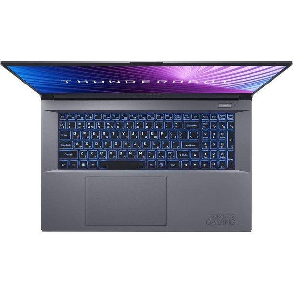 Игровой ноутбук Thunderobot 911 Plus G3 X (JT009T00BRU)