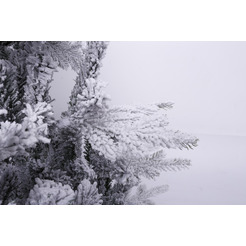 Ель искусственная Winter Drop 180 / 23107