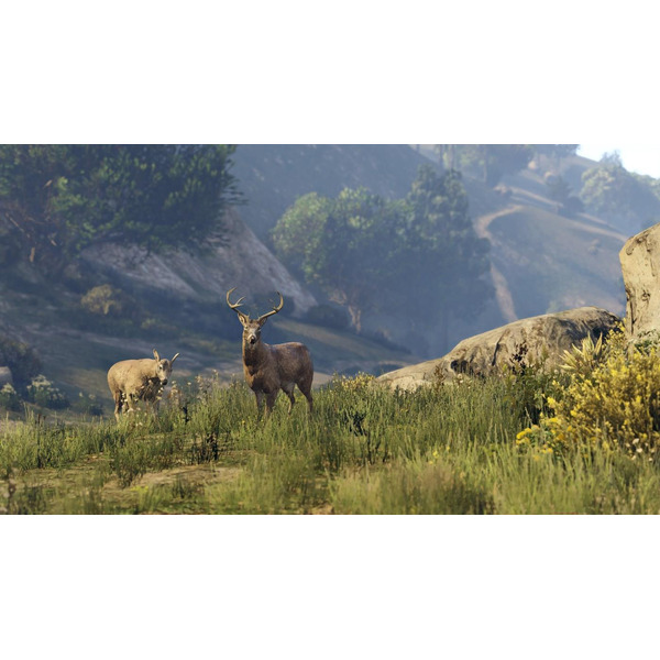 Игра Grand Theft Auto V. Premium Online Edition для Xbox (русские субтитры)