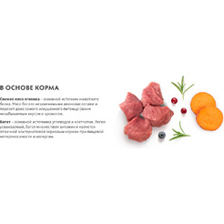 Сухой корм для кошек Grandorf Adult Fresh Lamb&Sweet Potato (2кг)