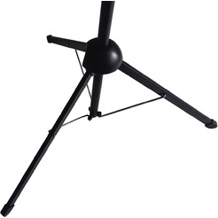 Экран CACTUS X-type CS-PSTX-112X199