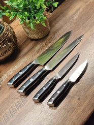 Набор ножей Polaris Сook Master-5SS