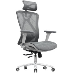 Кресло компьютерное EVOLUTION EXO F1 Mesh Grey