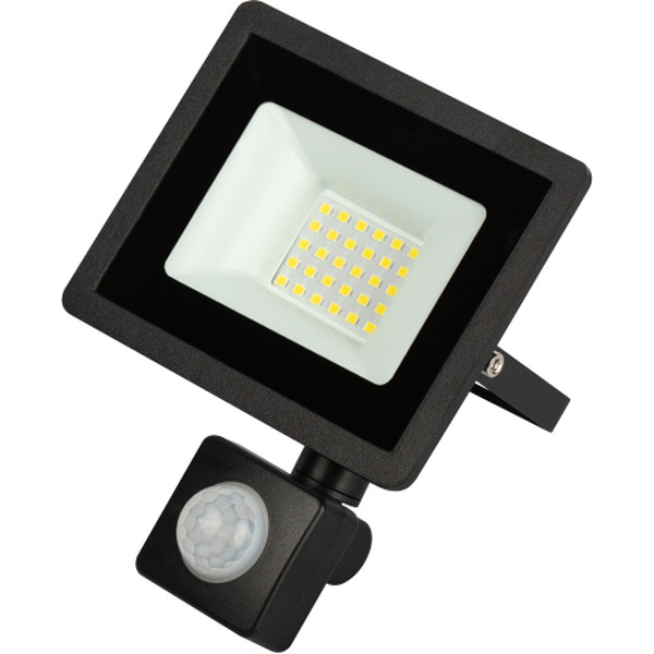 Уличный прожектор ЭРА LPR-042-2-65K-030