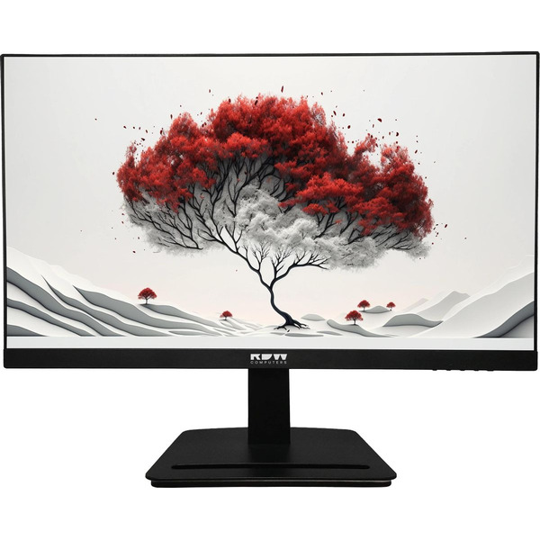 Монитор RDW Computers 2401K/F00B3100V2A1H