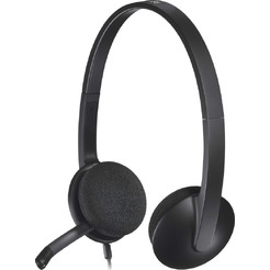 Наушники с микрофоном Logitech H340 981-000509 (серый/черный)
