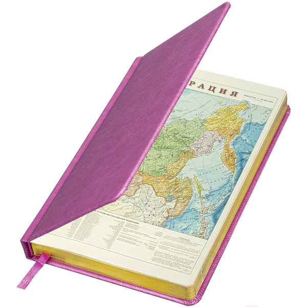 Ежедневник BRAUBERG недатированный Iguana 114456 (лиловый)