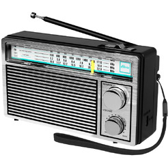 Радиоприемник Ritmix RPR-131