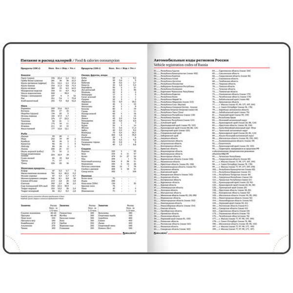 Ежедневник BRAUBERG недатированный Magnetic X 113281 (красный)