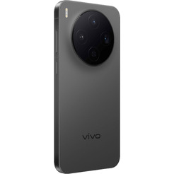 Смартфон vivo X300 V2515 16GB/512GB (черный)