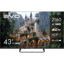 Телевизор evo TV 43 Black