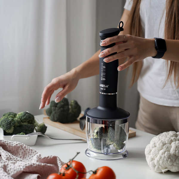 Блендер погружной Aresa AR-1117