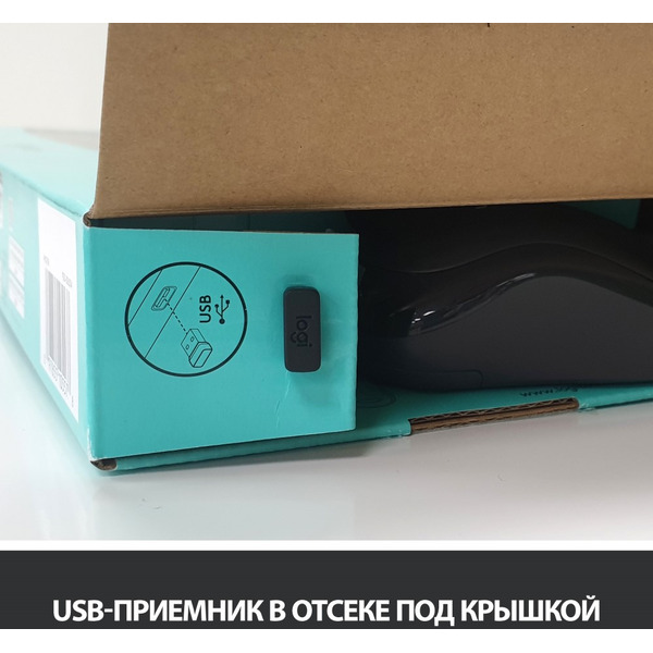 Клавиатура + мышь LOGITECH MK270 (L920-004518)