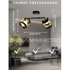 Потолочный светильник Aitin-Pro НПБ 02-2x60-101 / 9079/2 (черный/золото)