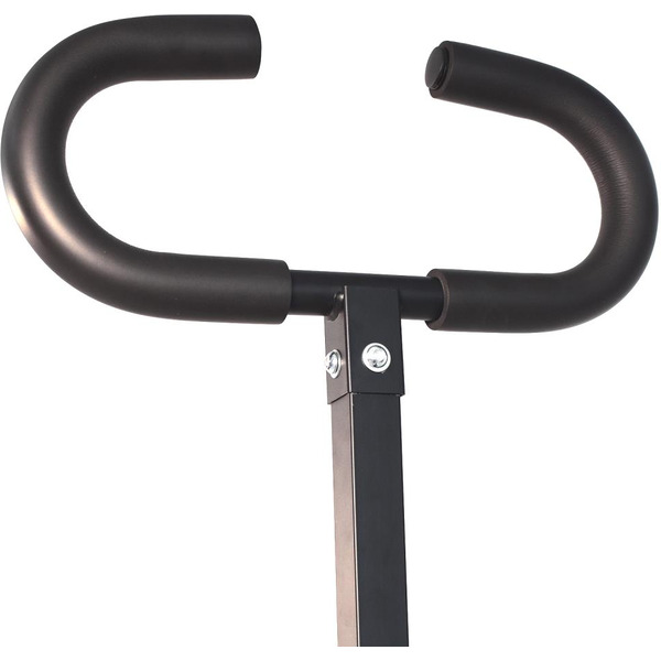 Тренажёр наездник Calviano Rider (синий)