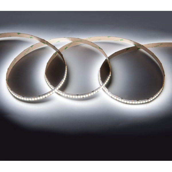 Лента светодиодная General GLS-2835-240-19.2-12-IP20-6 (5 м) 501450