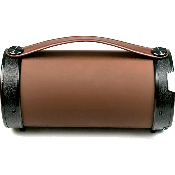 Акустическая система Dialog AP-1000