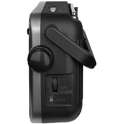 Радиоприемник Ritmix RPR-320