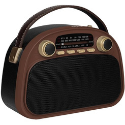 Радиоприемник Ritmix RPR-040 (шоколадный)