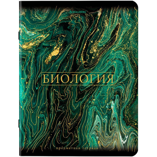 Тетради предметные BRAUBERG 404326 (КОМПЛЕКТ 12 ПРЕДМЕТОВ, 48л, SoftTouch, фольга)