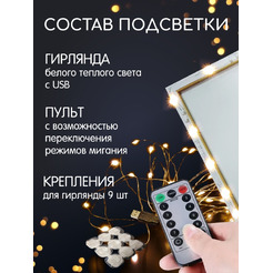 Картина по номерам Молли Лев под луной 40x50 LHR0025