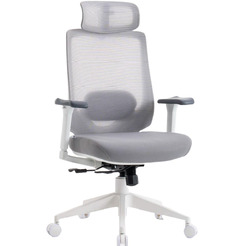 Кресло компьютерное EVOLUTION HybridFlex (белый)