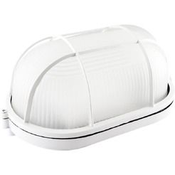 Светильник TDM НПБ1202 (белый)