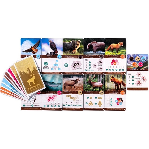 Настольная игра Crowd Games Каскадия