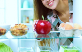 Как выбрать однокамерный холодильник