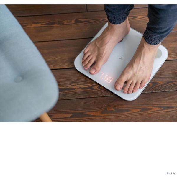Напольные весы Picooc Mini Pro V2