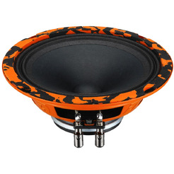 Автоакустика DL Audio Gryphon Pro 165 Neo