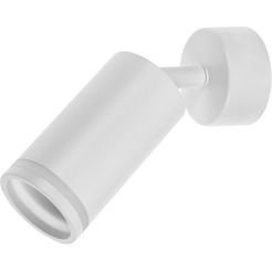 Светильник Leiden Electric 807112