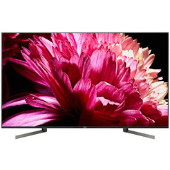 Телевизор SONY KD-55XG9505